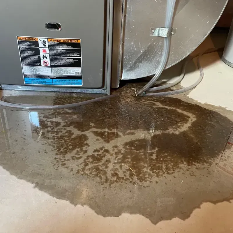 Appliance Leak Cleanup in Trinity, AL